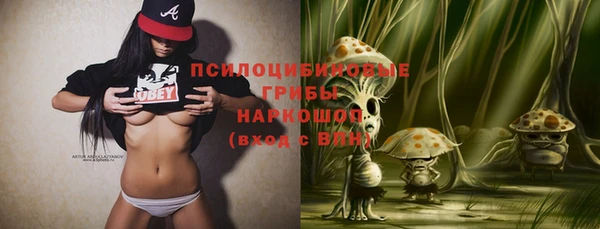 ПСИЛОЦИБИНОВЫЕ ГРИБЫ Абаза