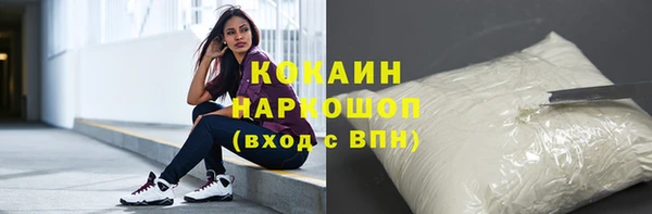 ПСИЛОЦИБИНОВЫЕ ГРИБЫ Абаза