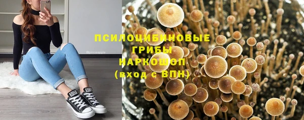 ПСИЛОЦИБИНОВЫЕ ГРИБЫ Абаза