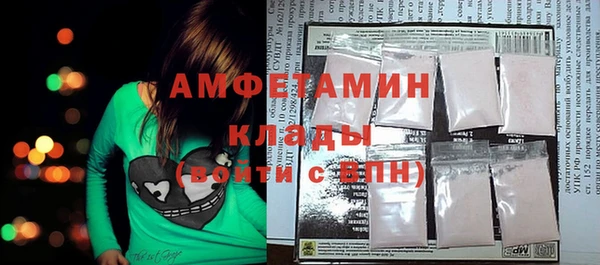 ПСИЛОЦИБИНОВЫЕ ГРИБЫ Абаза